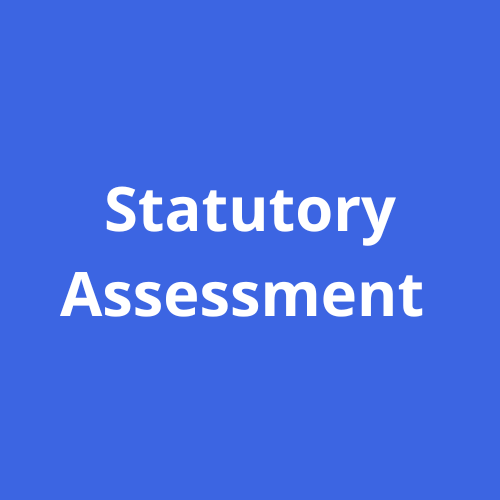 Blue box with white writing which reads Statutory Assessment